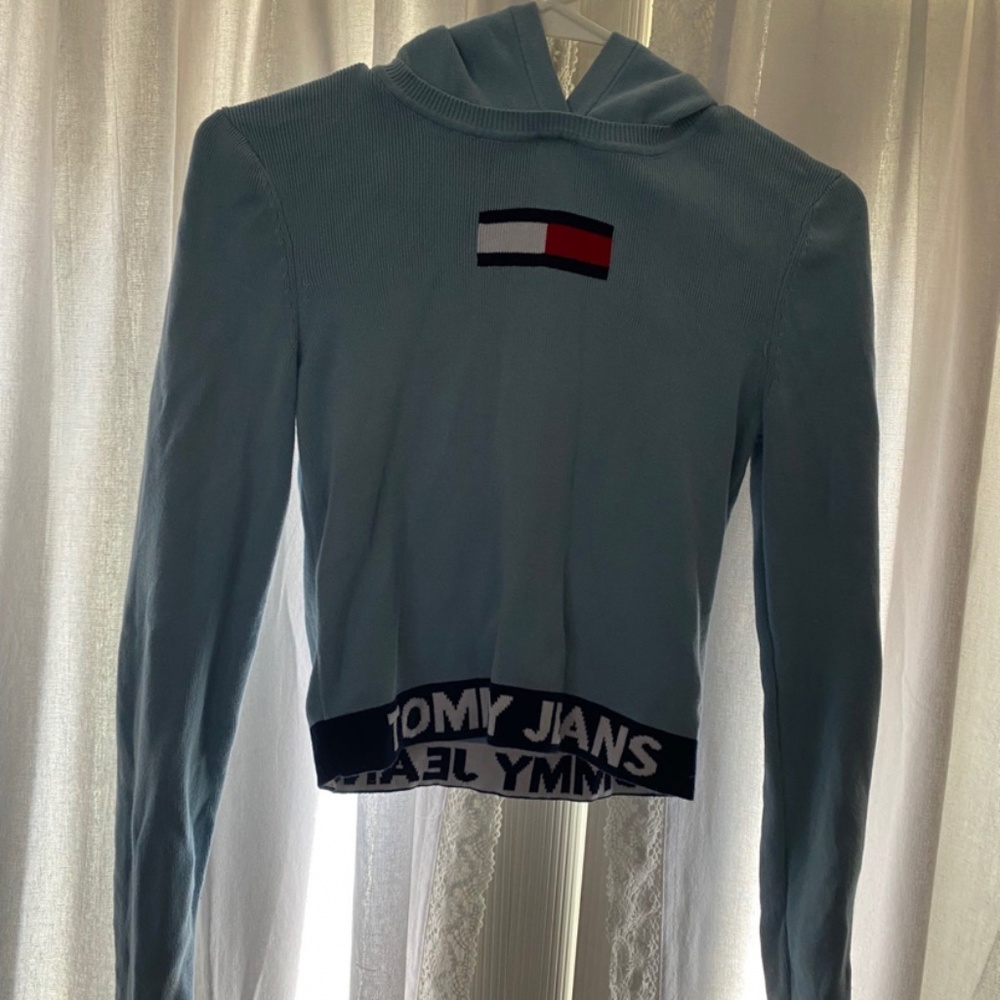 Tommy Hilfiger Hooded Sweater
